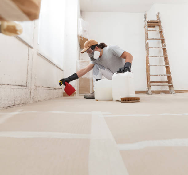Best Indoor Air Quality Assessment  in Cherryvale, SC